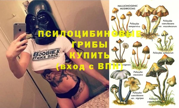 стаф Козельск