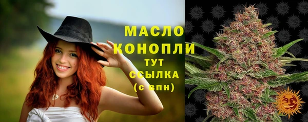 стаф Козельск