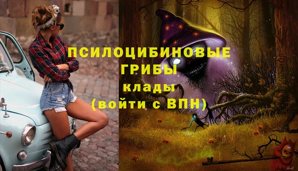 стаф Козельск