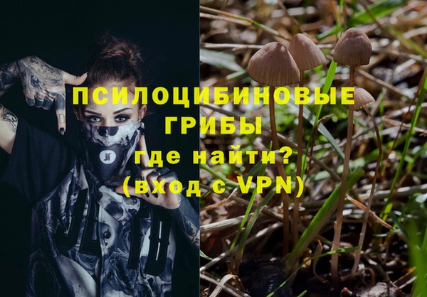 стаф Козельск
