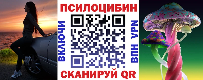 Купить где  Оха  Галлюциногенные грибы Magic Shrooms 